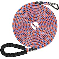 NTR 10FT Training Leash for Dog,Reflective Nylon Rope Leash with Swivel Lockable Hook and Comfortable Handle,Puppy Leash…