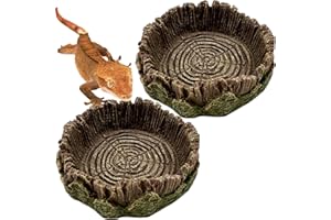 CATENEED Small Reptile Food Dish, 2 Pack Reptile Feeding Food Bowls for Bearded Dragon Gecko Lizard Frog Hermit Crab Snail Toad
