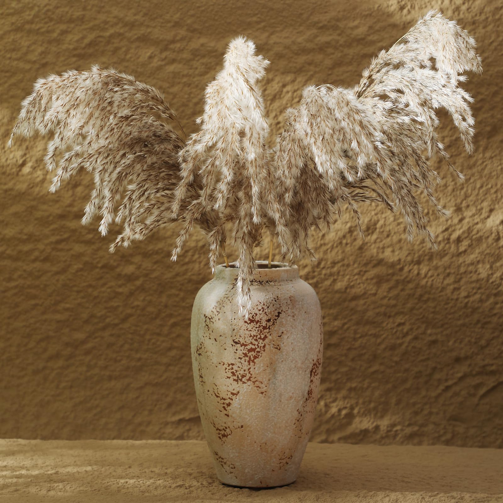 Photo 1 of PNJHDZ Ceramic Terracotta Vase Rustic Farmhouse Decor, 9.3 Inch Pampas Grass Vintage Vase for Home Decor, Table, Shelf, Living Room Decor