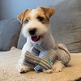 Petface Little Freddi Cord Plush Puppy Toy Pack of 2 view 7