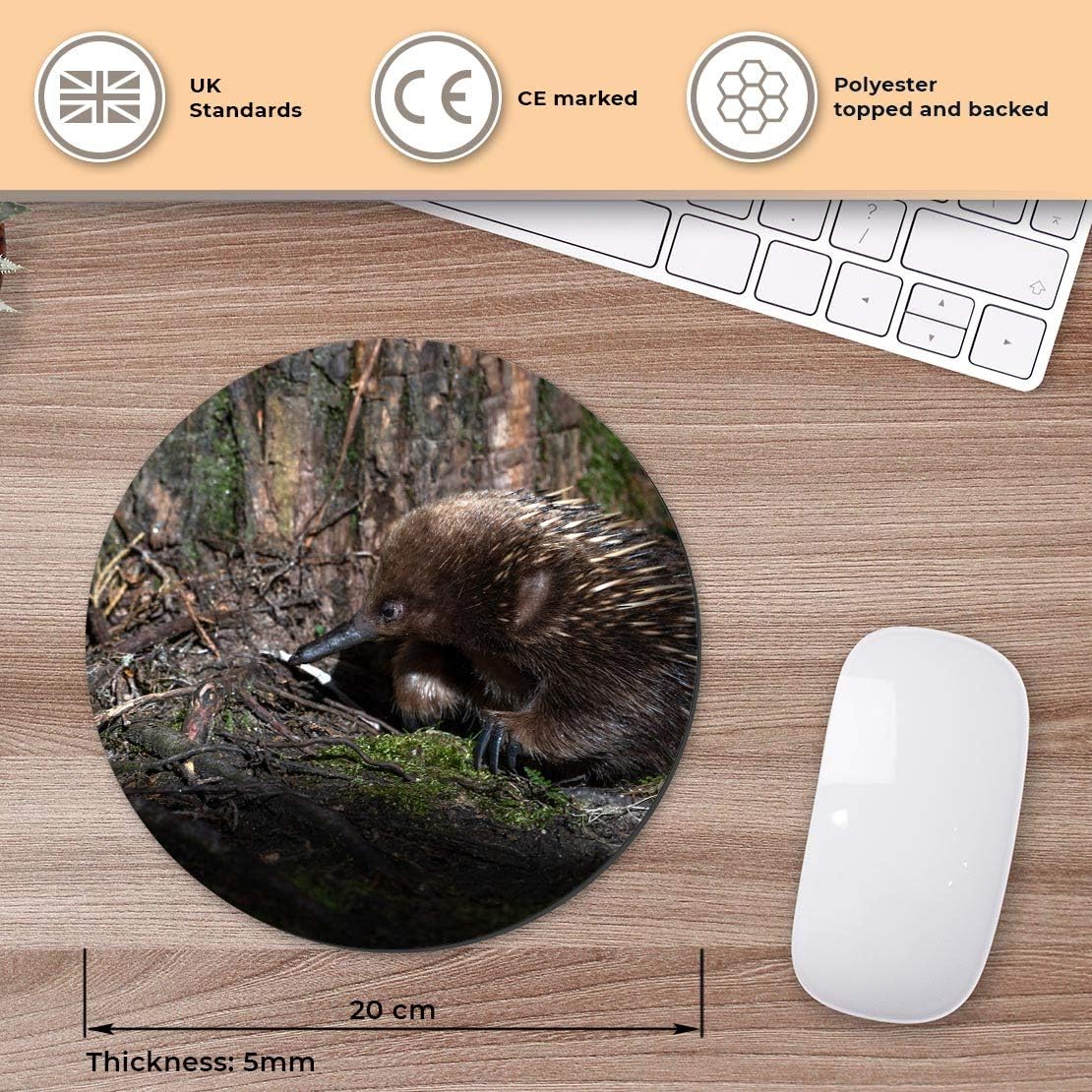 Destination Vinyl ltd Short Beaked Echidna Cradle Mountain Tasmania - Image 3