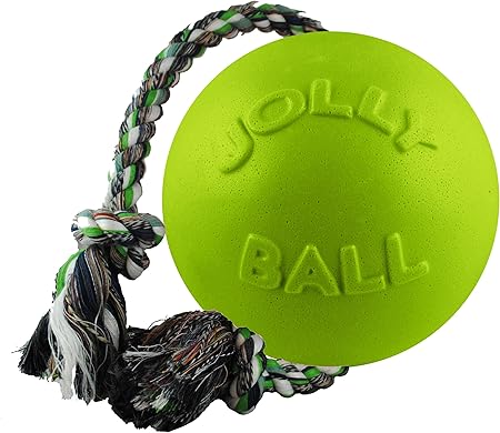 jolly ball with rope