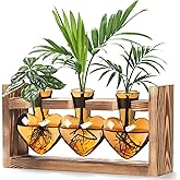 Lifecapido Heart Shaped Propagation Stations, Plant Terrarium with Wooden Stand, Plant Propagation Station for Hydroponics Plants Office Garden Home Decor, Gifts for Women Plant Lover (3 Vases, Amber)