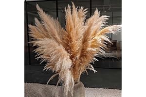 BNECNET 47" Inch 10 Stems Natural Pampas Grass Tall Decor - Dried Large Pompas Grass Boho Decor - Long Pampas Grass for Floor Vase Wedding Flowers Home Farmhouse Decor Room Decor，Living Room Decor，Party，Gift