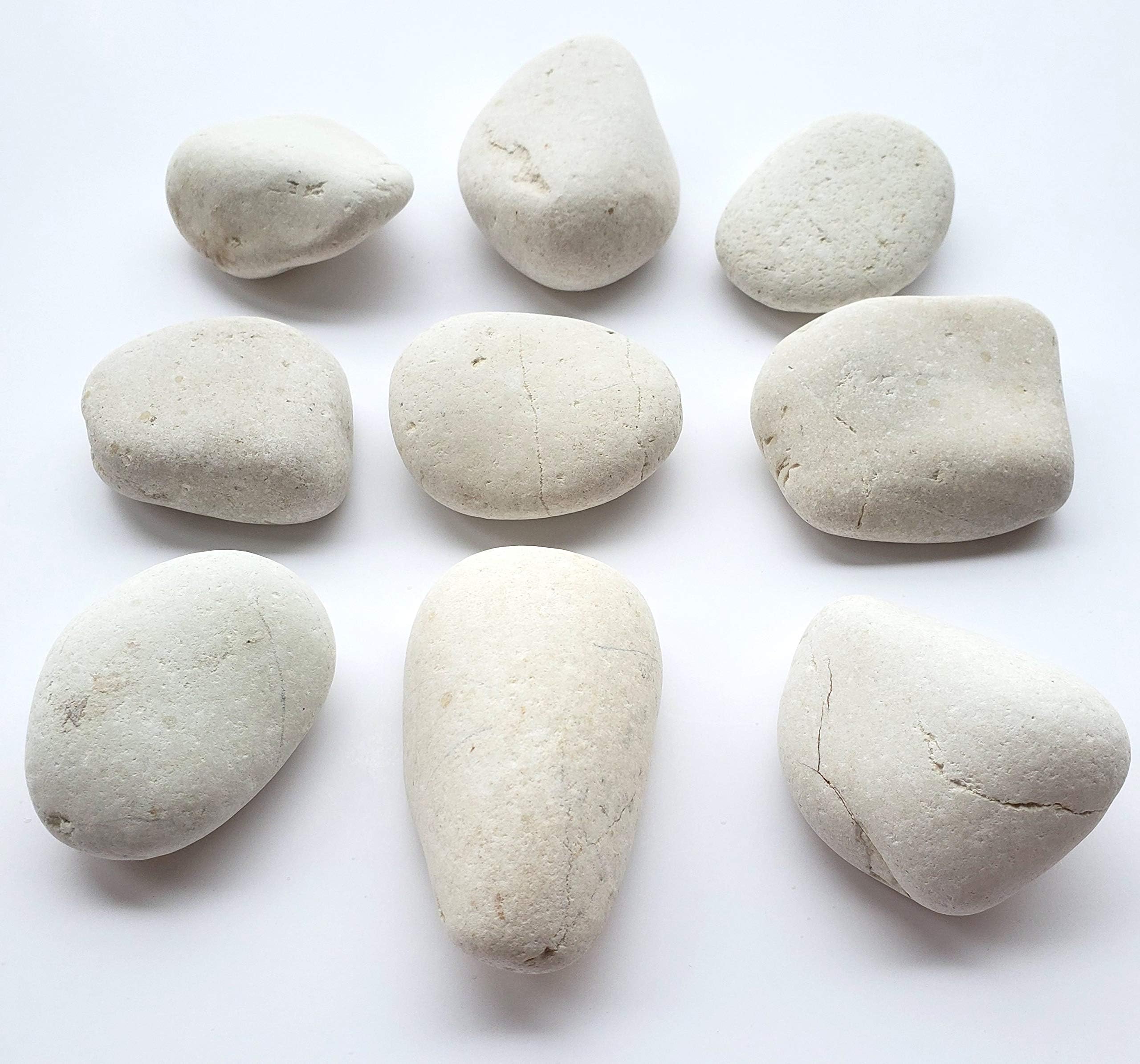 Capcouriers Abstract White Painting Rocks - Rocks for Painting - About 2 pounds of Assorted Size and Shape Rocks That Range in Length from About 1 to 2.5 inches (Typically 10-12 Rocks)
