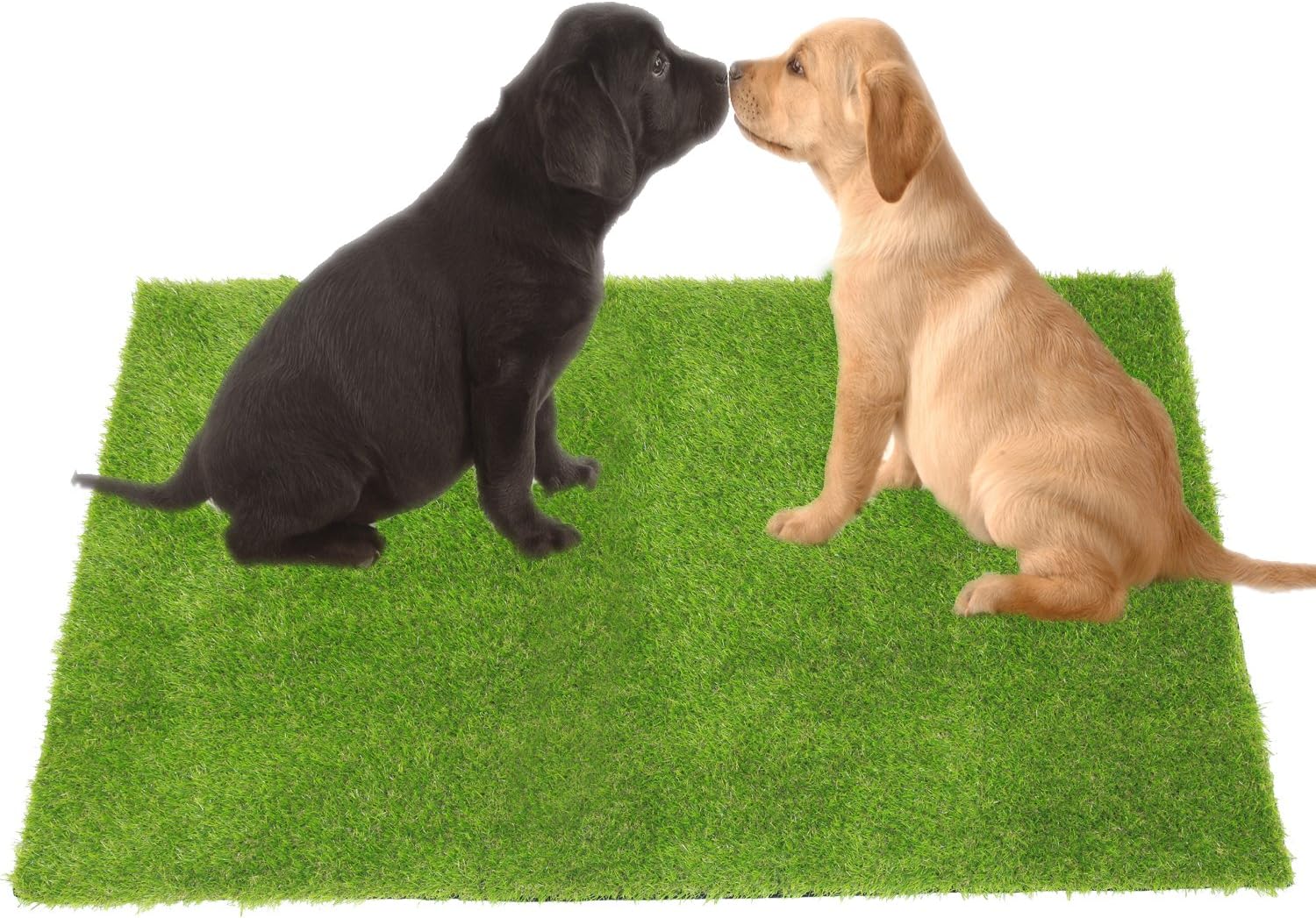 what happens if a dog urinates on artificial grass