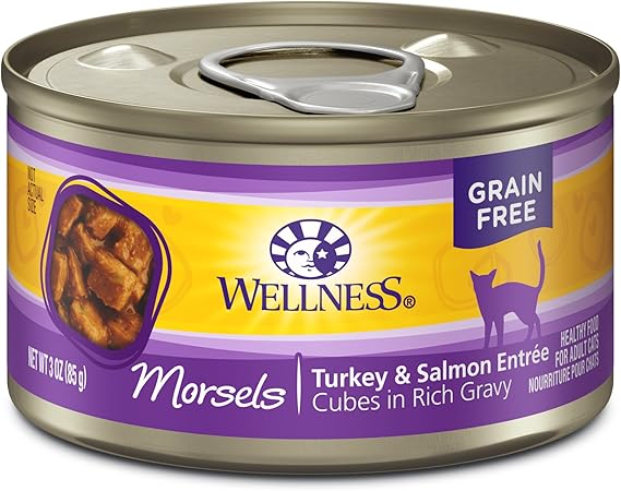 wellness grain free wet cat food