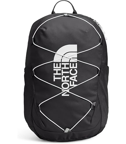 The North Face Unisex Jester Backpack, Anthracite Grey/Smoked Pearl/Fizz Lime, One Size : Electronics