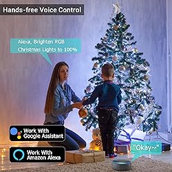 Brizled Smart Christmas Lights, 196ft 600 LED Smart