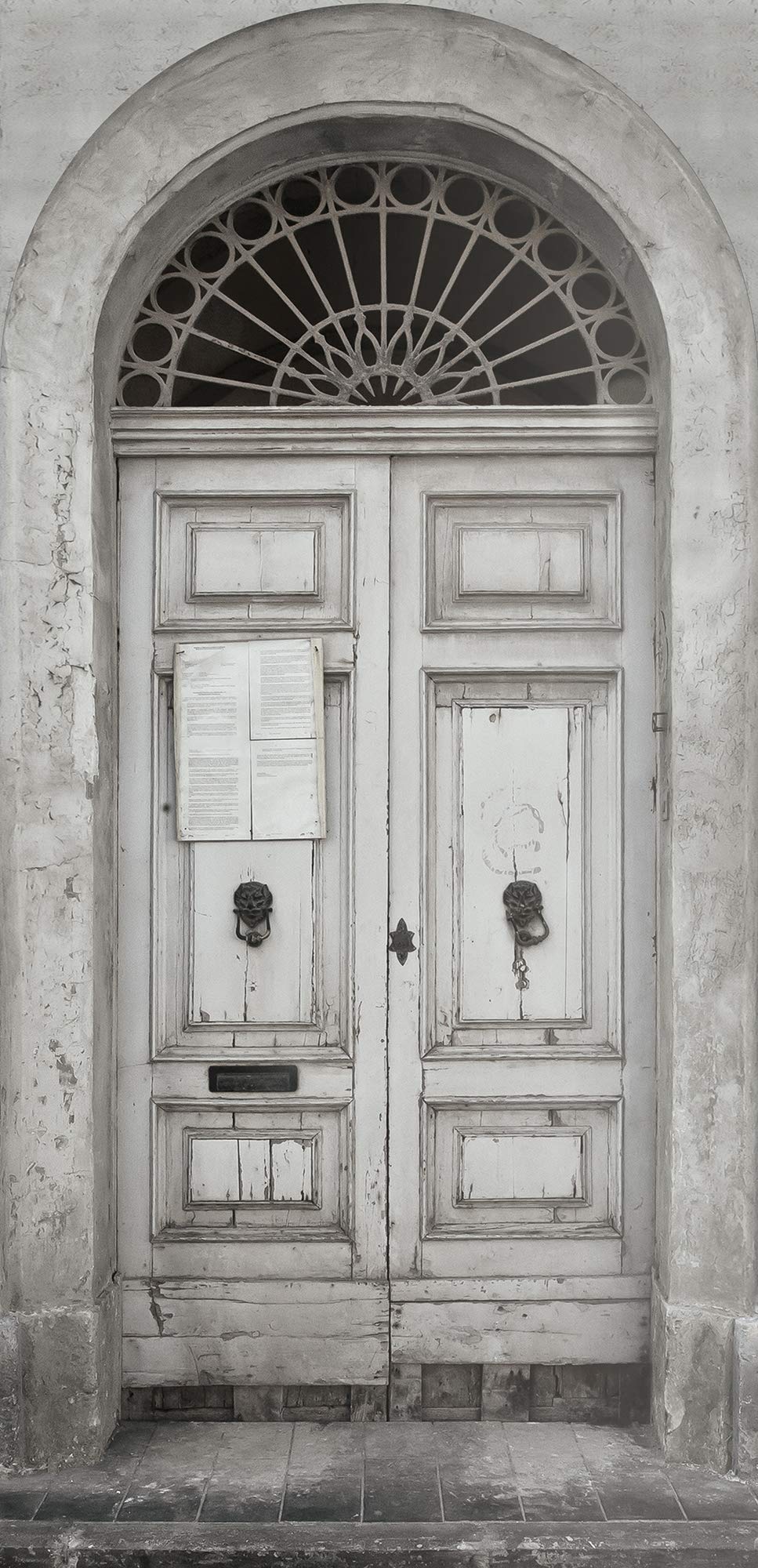 Global Fusion Door Mural