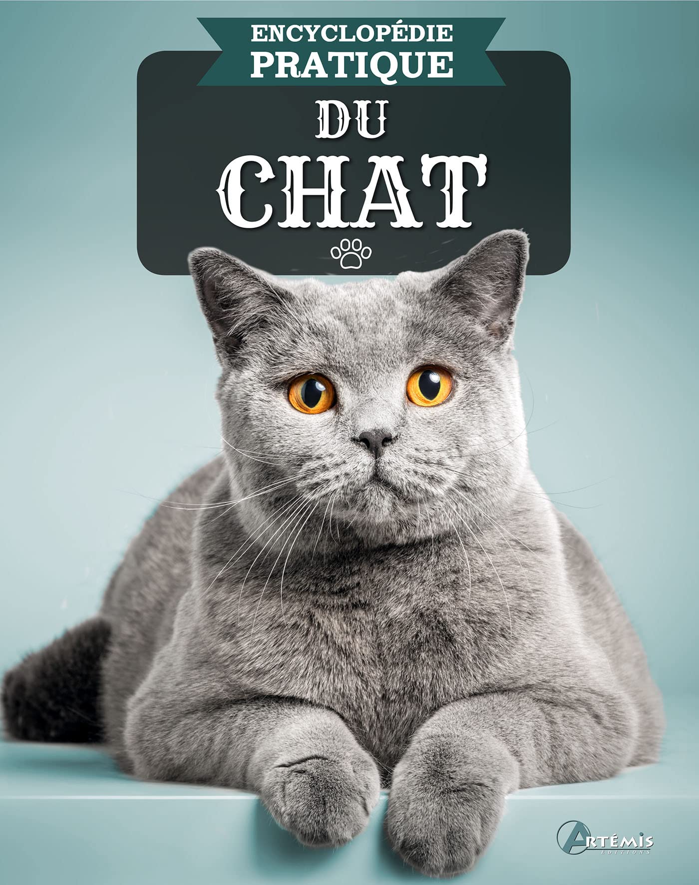 Encyclopedie Pratique Du Chat Encyclopedie Pratique French Edition Collectif Amazon Com Books