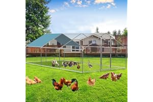 MODCART Extra Large Metal Chicken Coop, Walk-in Poultry Chicken Coops for 20 Chickens, Heavy Duty Chicken Run in for Yard with Waterproof Cover and Secure Lock (9.8'L x 19.6' W x 6.4'H)