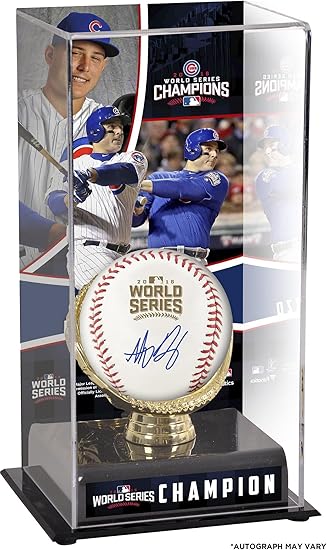 anthony rizzo autographed baseball