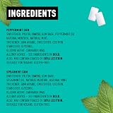 Peppersmith Spearmint Peppermint Gum Mix Pack 12 x 15g Xylitol Sugar Free view 3