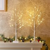Eambrite Set of 2 Small Birch Twig Tree Lights 60cm Battery Operated view 2