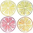 Disposable Round Citrus Fruit Paper Place Mats 60 Pack 13.5" Summer Tropical Fruits Slices Lemon Lime Orange Grapefruit Table
