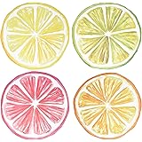 Disposable Round Citrus Fruit Paper Place Mats 60 Pack 13.5" Summer Tropical Fruits Slices Lemon Lime Orange Grapefruit Table