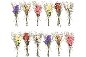 WGXX 12/24 Pack Dried Flowers for Vase Various Mini Bouquet Dried Small Wildflowers Natural Real Flowers Bulk for Crafts DIY Wedding Decor (12, Forget Me Not)