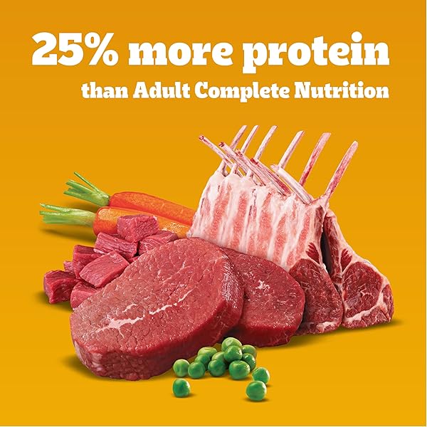 PEDIGREE HIGH PROTEIN ADULT DRY DOG FOOD BEEF AND LAMB FLAVOR DOG KIBBLE, 3.5 LB. BAG
