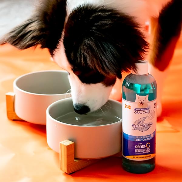 NYLABONE ADVANCED ORAL CARE PET DENTAL WATER ADDITIVE, LIQUID TARTAR REMOVER & BREATH FRESHENER FOR DOGS, DOG TEETH-CLEANING, PEPPERMINT FLAVOR, 16 OZ.