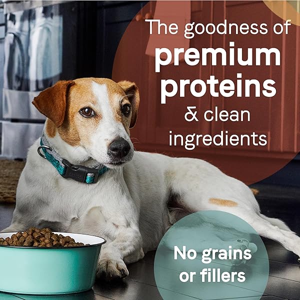 CANIDAE PURE LIMITED INGREDIENT PREMIUM ADULT DRY DOG FOOD, REAL LAMB & SWEET POTATO RECIPE, 12 LBS, GRAIN FREE