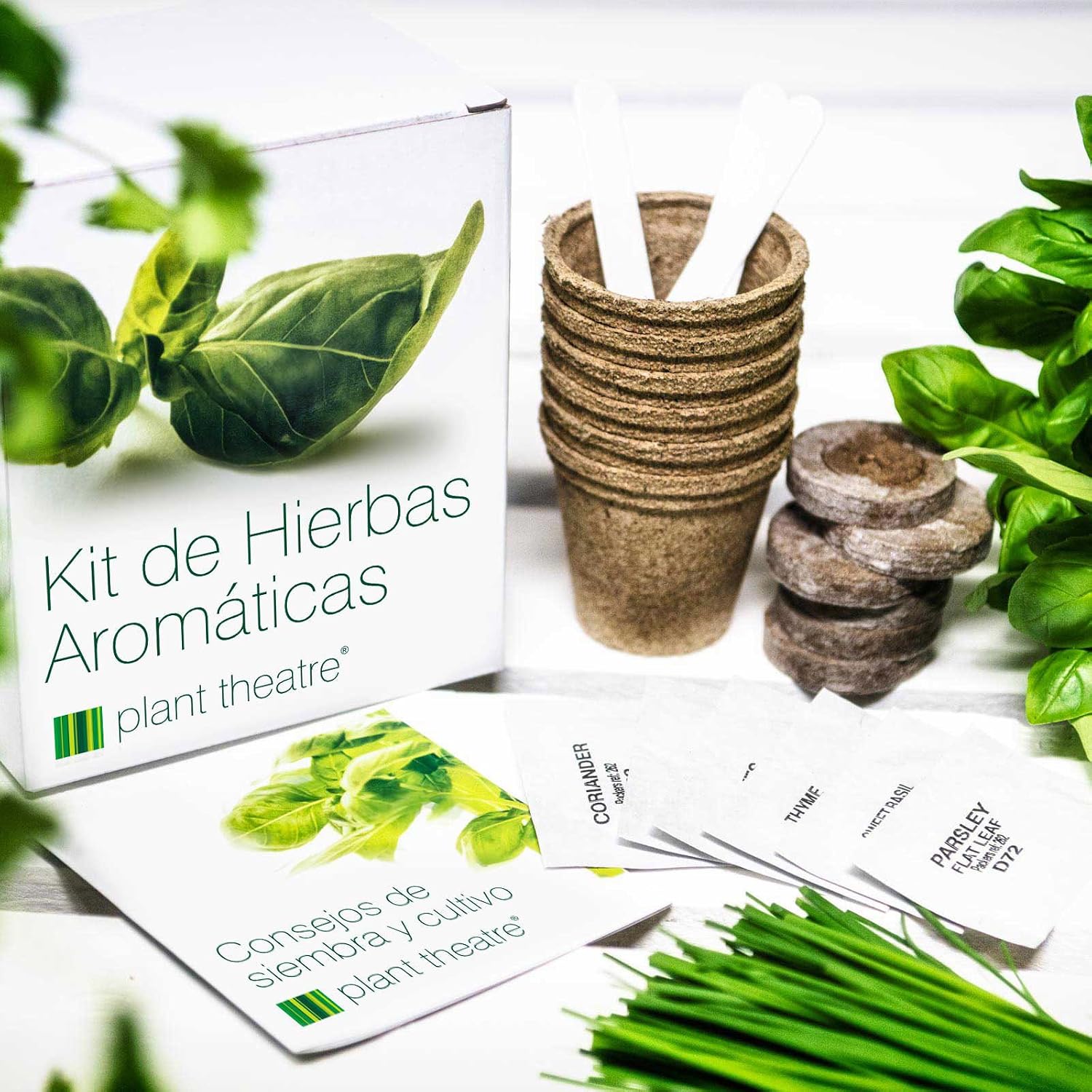 Plant Theatre Kit de Hierbas Aromáticas - 6 hierbas diferentes ...