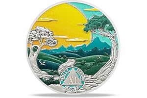 Imasoner 40 Year AA Sobriety Coin Alcoholics Anonymous Recovery Medallion with Serenity Prayer Sober Anniversary Token AA Chip for Milestone Recovery Gifts for Men Women