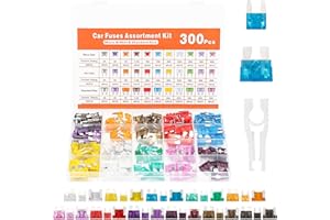 Assortiment de 300 fusibles pour voiture, 160 mini fusibles à lame, 90 fusibles automatiques standard, 50 micro fusibles pour