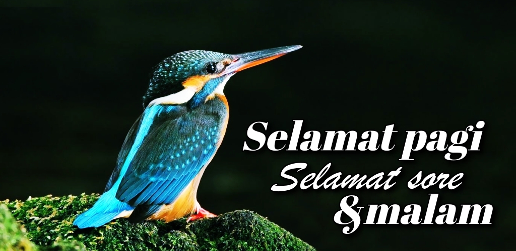 Selamat Pagi Sore Selamat Malam Cinta Amazon Com Appstore For Android