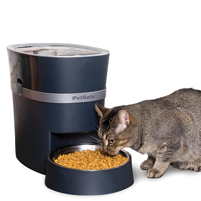 Top 10 Best Automatic Pet Feeder For Dry Or Wet Food iHomePet