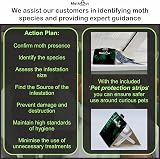 MothOut 10 Pheromone Clothes Moth Traps with Lavender Freshener Glow Pads view 4