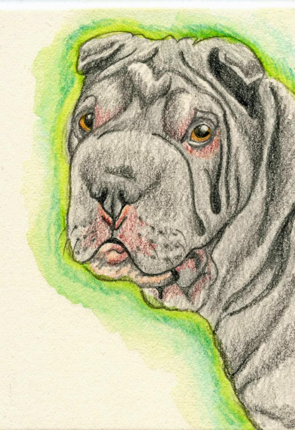 original shar pei dog