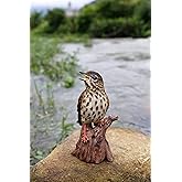 HiLine Gift Ltd. Motion Activated Singing Songbird Standing on Stump Statue,Brown