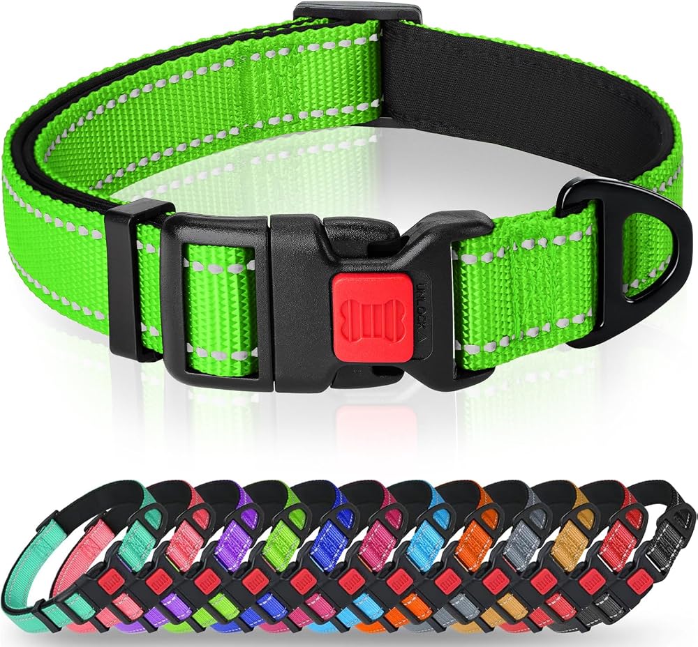 Taglory Reflective Nylon Dog Collar XS Green Safety Buckle Neoprene Padding