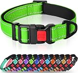 Taglory Reflective Nylon Dog Collar with Safety Buckle Green Medium 2.5cm