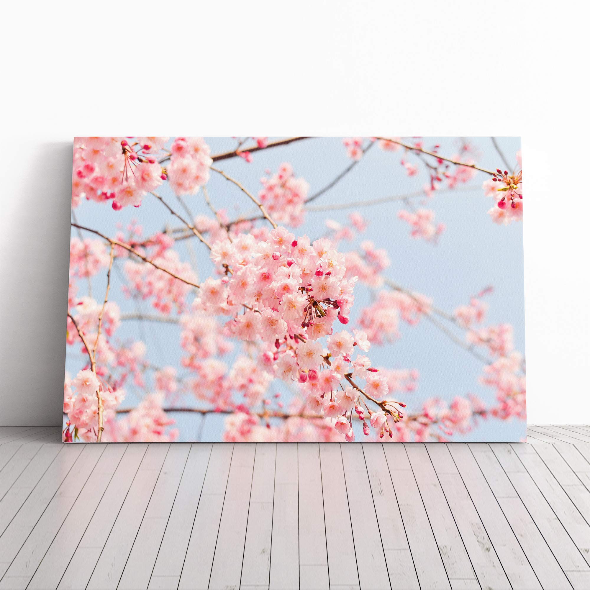 Pink Cherry Blossom Tree Flowers (2) Canvas Print | Gallery Wrapped 30mm Frame Wall Art | 20x14 inches | Ready to Hang | Modern Floral Picture | Living Room Bedroom Lounge Office