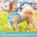 haapaw Dog Harness and Lead Set No Pull Reflective Step-in Adjustable Harness view 4