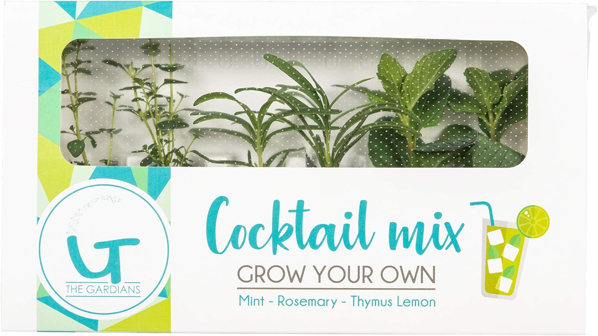 Seville Farms Gardians Cocktail Mix-Grow Herbs in Your Home-Mint, Rosemary, Lemon Thyme, 6 Pack, Green