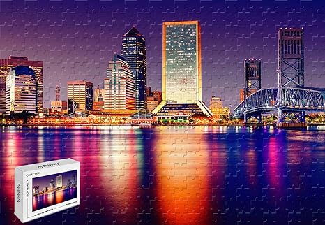 Amazon Com 1000 Piece Jigsaw Puzzle Usa Florida Tampa City