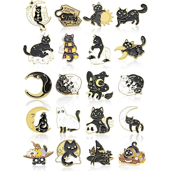 Amazon.com: Juinte 8 Pieces Crow Enamel Pins Set Rose Moon