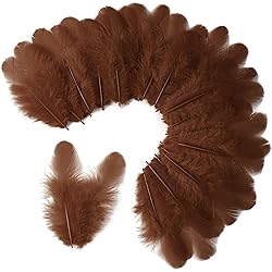 Soarer 300pcs Brown Feathers for Crafts - 3-5inch