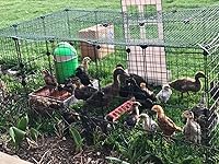 Review Image by Sassy mom Sassy mom