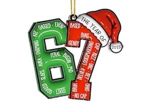 BOYESE 67 Christmas Ornament, 67 Ornaments for Xmas Tree, Funny Christmas Ornaments 2025, 6 7 Meme Ornament for Teens, Six Seven Gifts, Gag Gifts for Teens, Teen Girls Trendy Stuff