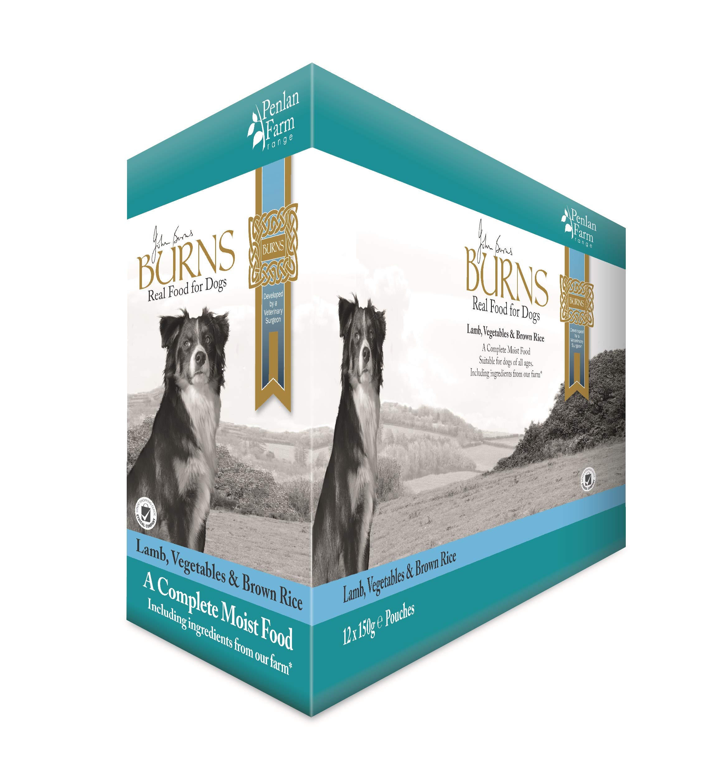 Burns Pet Nutrition Hypoallergenic Complete Wet Food Adult Dog Penlan Pouch Lamb Brown Rice and Vegetables 12x150 g
