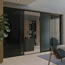 Doors 55 Glass Room Divider Panel and Partition