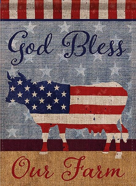 Amazon Com Selmad July 4 God Bless Farm Garden Flag Summer