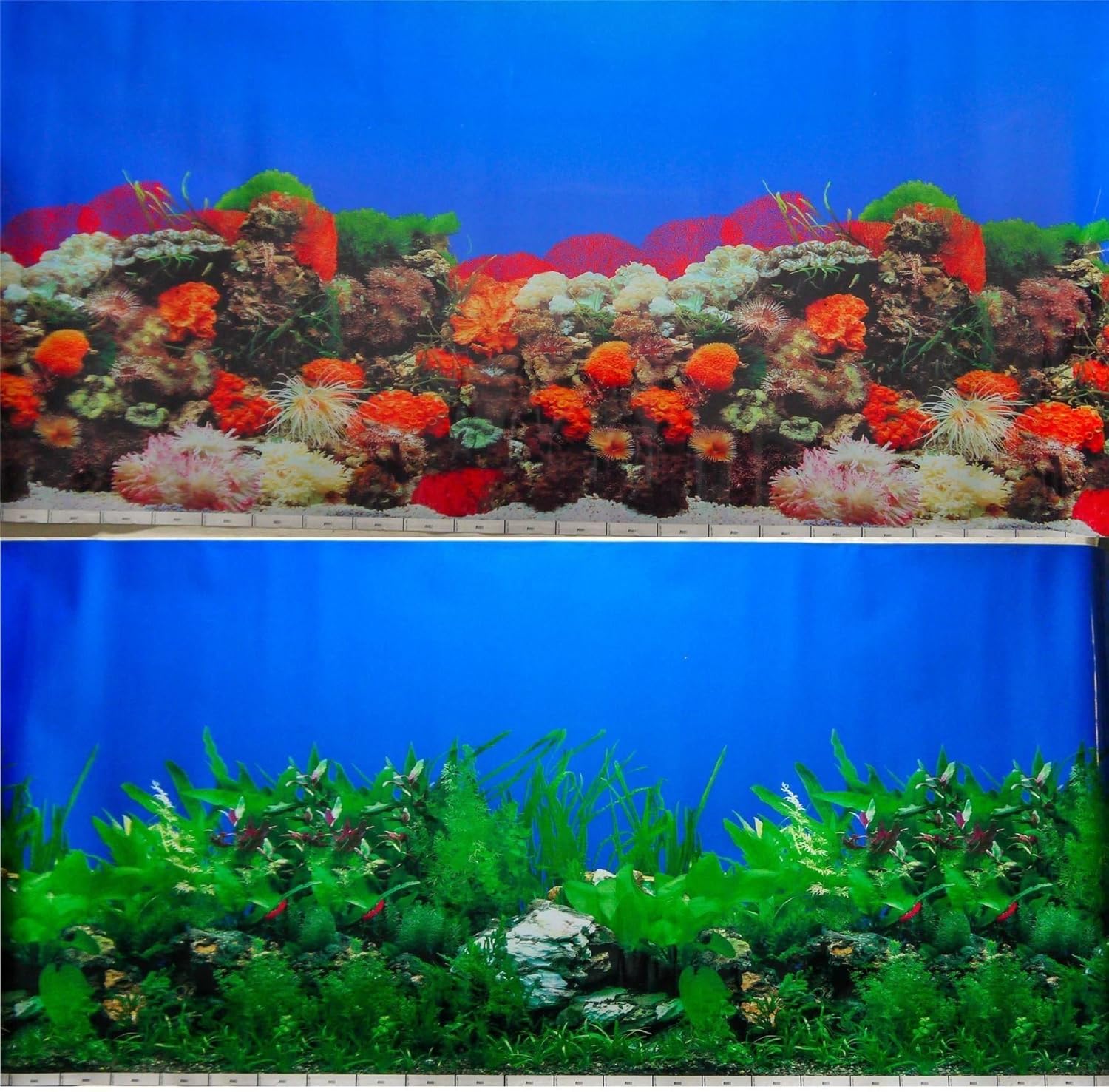 Фон Для Аквариума Купить Недорого