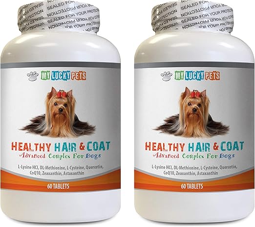 dog ear itch relief