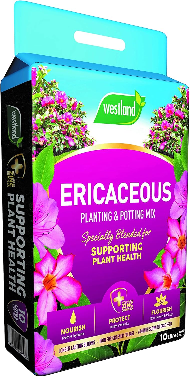 Westland 11400006 Ericaceous Compost, Pink Amazon.co.uk Garden & Outdoors