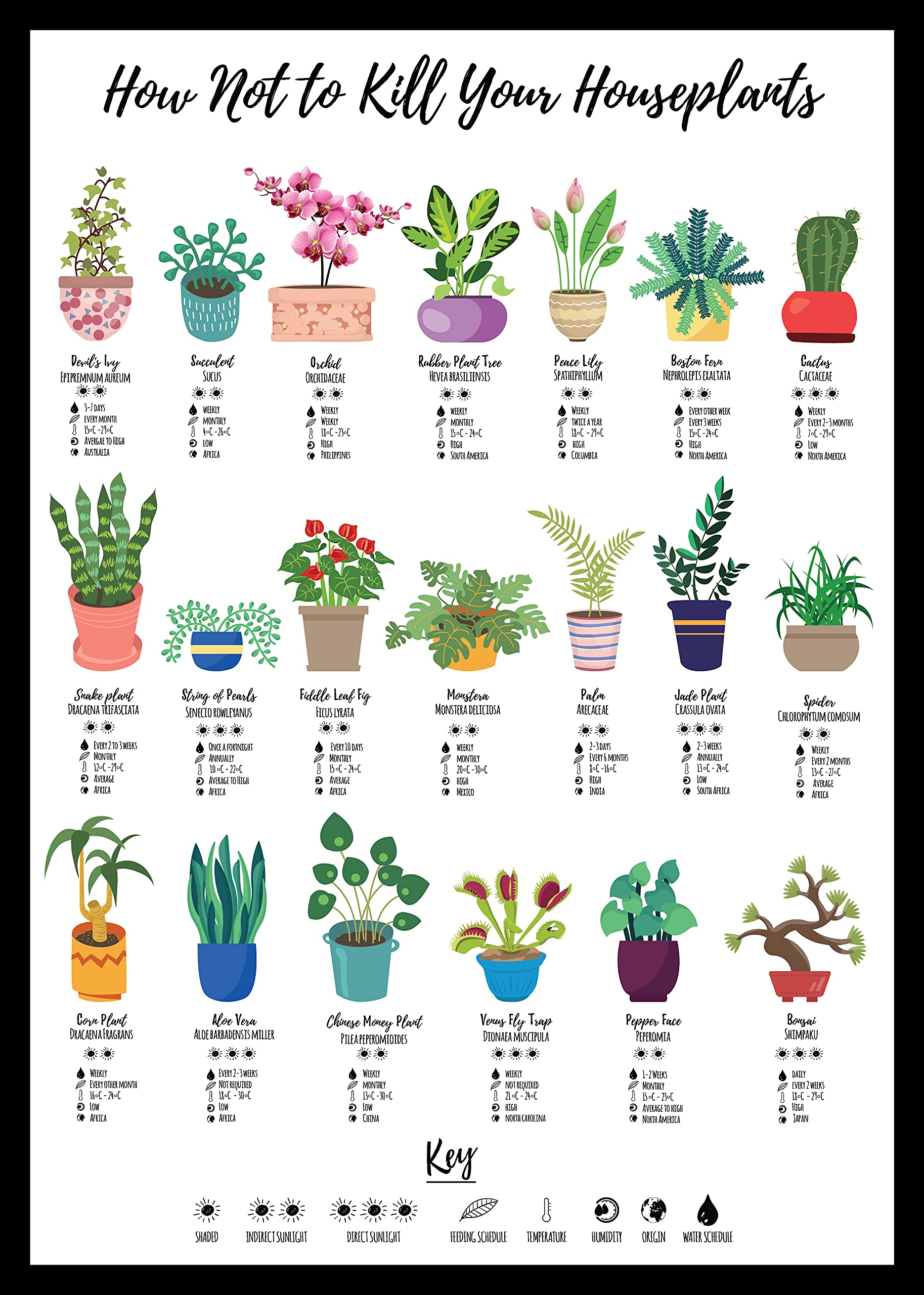 Hewson's Gifts How Not To Kill Your Houseplants Poster - Print for Home, Houseplant Care, Gift For Nature Plant Lover Wildlife Poster, Cacti (A4 Unframed)